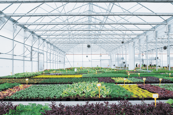 serre-horticulteur