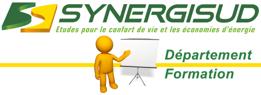 SYNERGISUD logo__form_detoure 1